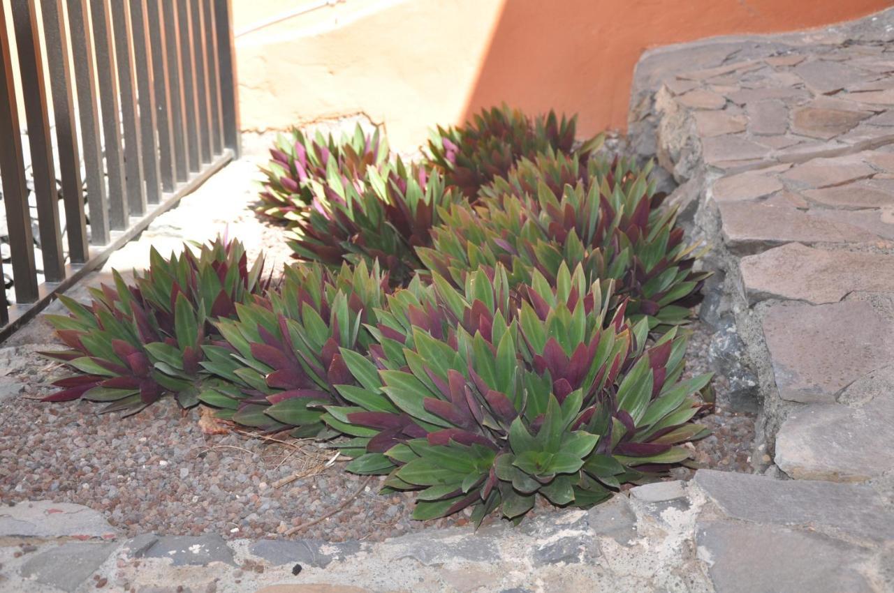 Vivienda Vacacional Villa El Mirador San Sebastián de la Gomera Εξωτερικό φωτογραφία